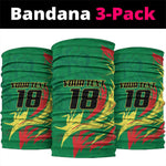 Senegal Football Pride Custom Neck Gaiter Les Lions de la Teranga