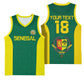 Senegal Football Custom Basketball Jersey Pride of African Champions