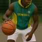 Senegal Football Custom Sleeveless Zip Hoodie Pride of African Champions