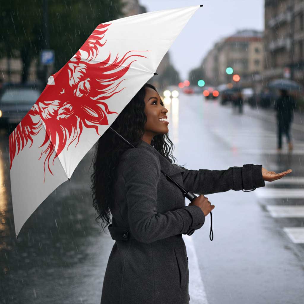 Custom Tunisia Football Umbrella Eagles of Carthage Spirit - African Pride