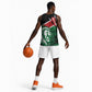 Afro Kenya Lion Head Basketball Jersey Flag Style - African Pride