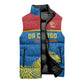 Custom World Football 2026 DR Congo Sleeveless Puffer Jacket Roar of Les Leopards