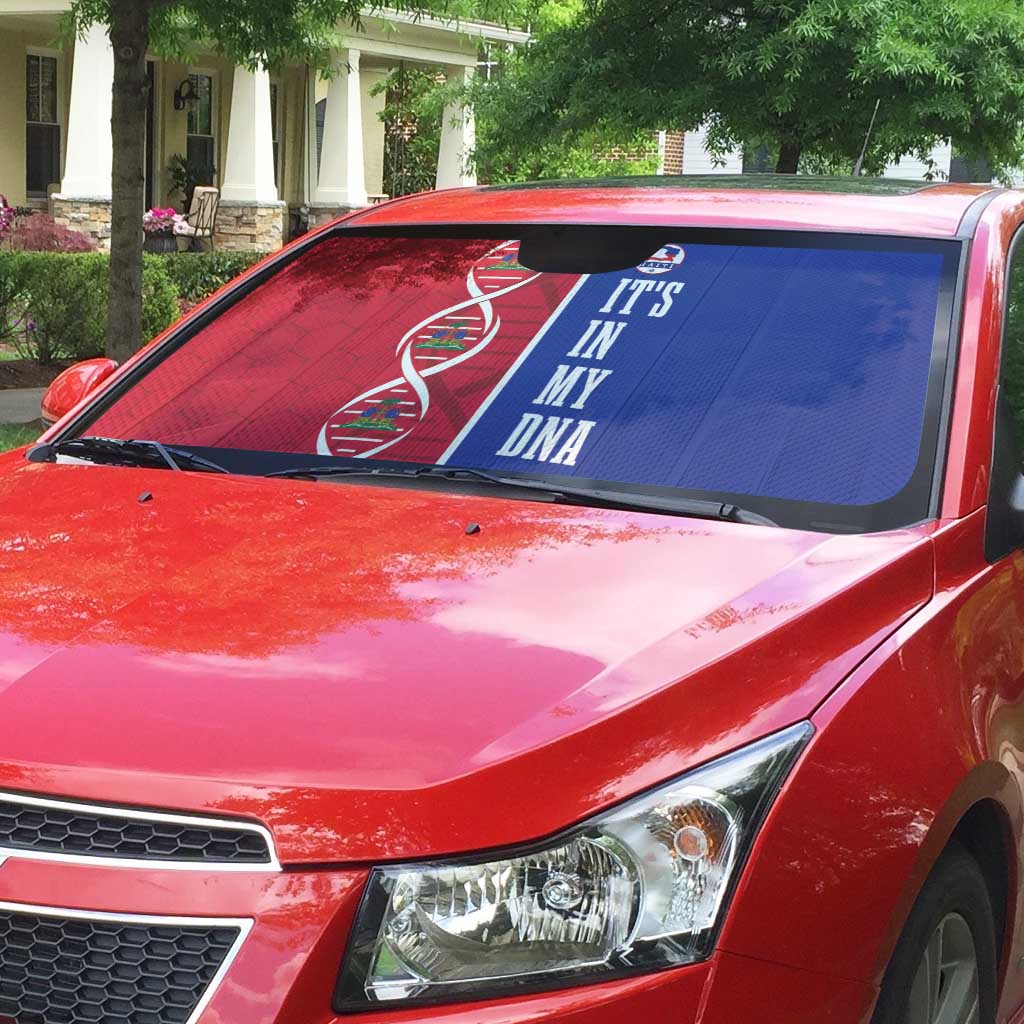 Afro-Haiti Football Auto Sun Shade It's In My DNA - African Pride