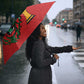 Morocco Champions Football Umbrella Atlas Lions Rise