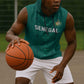 Custom World Football 2026 Senegal Sleeveless Hoodie Pride of the African Lions