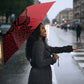 World Football 2026 Egypt Umbrella Pharaohs Hieroglyphs Pride Red Version