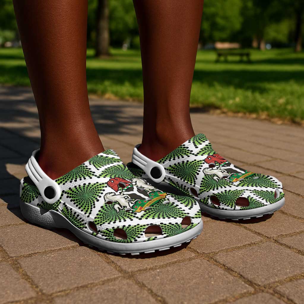 Nigeria Football Clogs Shoes Come On Super Eagles - African Pride