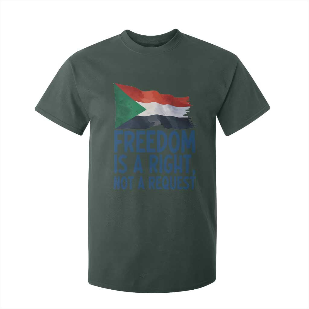 Freedom Is a Right Not a Request T Shirt For Kid Sudan Flag Human Rights Supporters