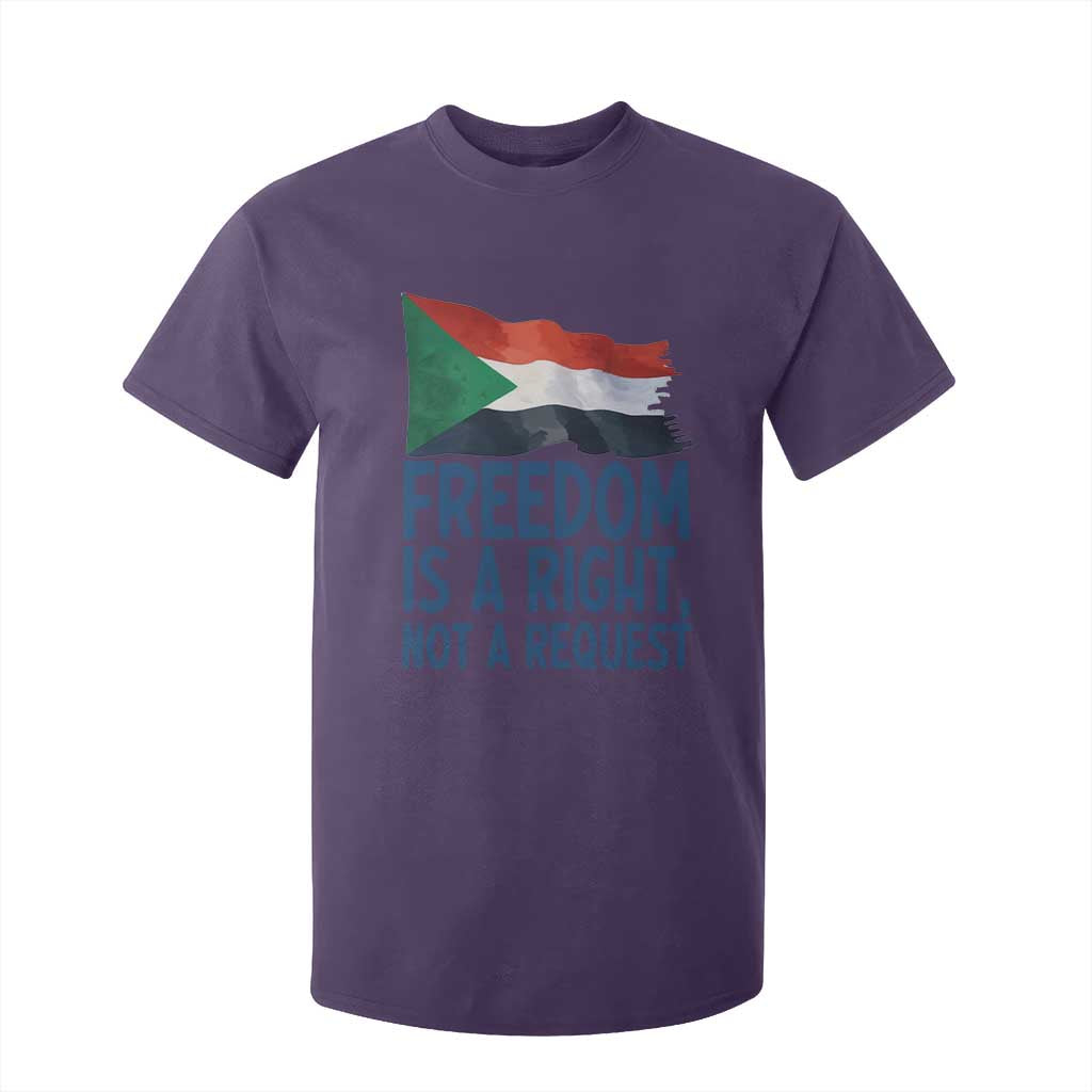 Freedom Is a Right Not a Request T Shirt For Kid Sudan Flag Human Rights Supporters