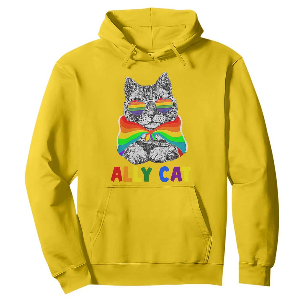 Ally Cat with Pride Cape Hoodie Rainbow LGBTQ+ Support