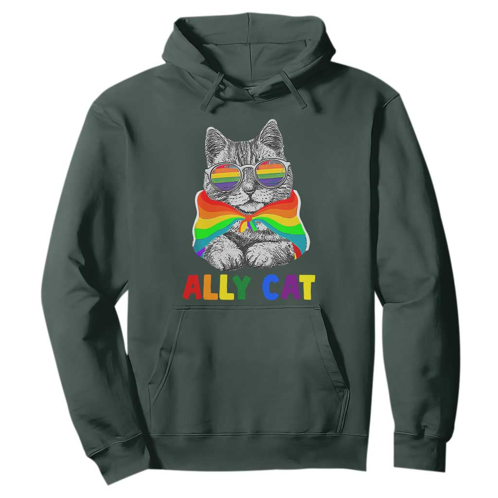 Ally Cat with Pride Cape Hoodie Rainbow LGBTQ+ Support