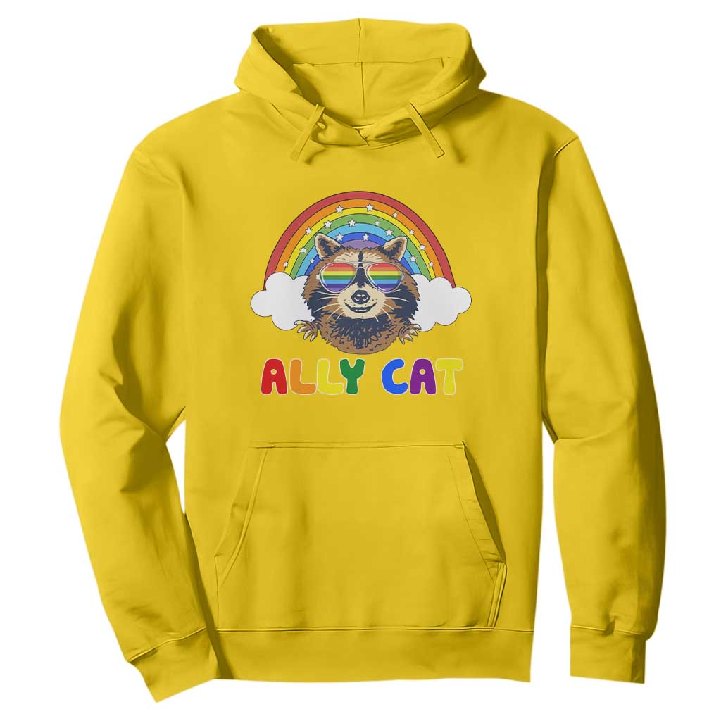 Ally Street Cat Rainbow Raccoon Hoodie Funny LGBTQ+ Pride Support