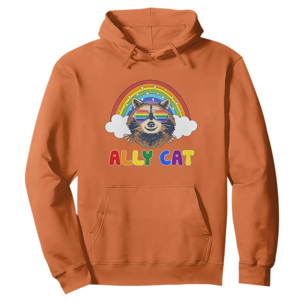 Ally Street Cat Rainbow Raccoon Hoodie Funny LGBTQ+ Pride Support