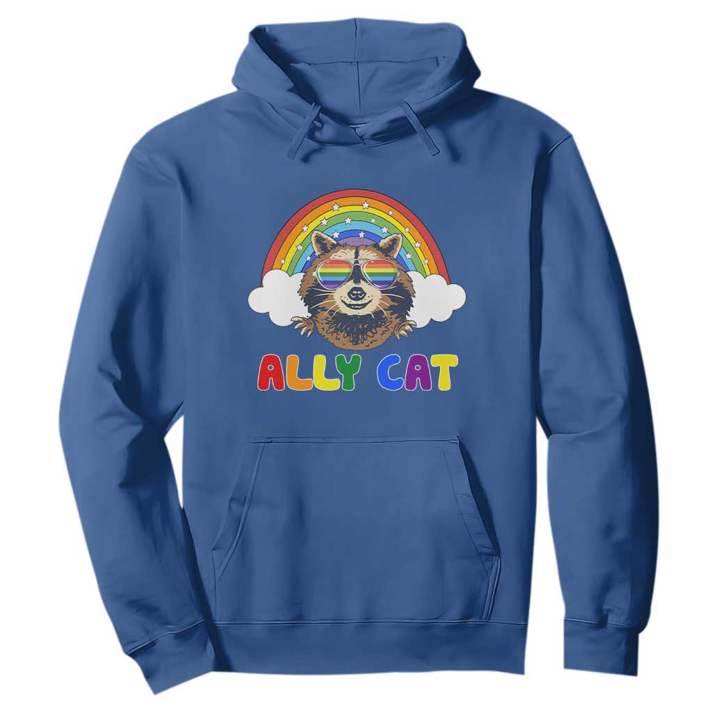 Ally Street Cat Rainbow Raccoon Hoodie Funny LGBTQ+ Pride Support