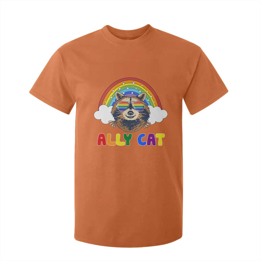 Ally Street Cat Rainbow Raccoon T Shirt For Kid Funny LGBTQ+ Pride Support