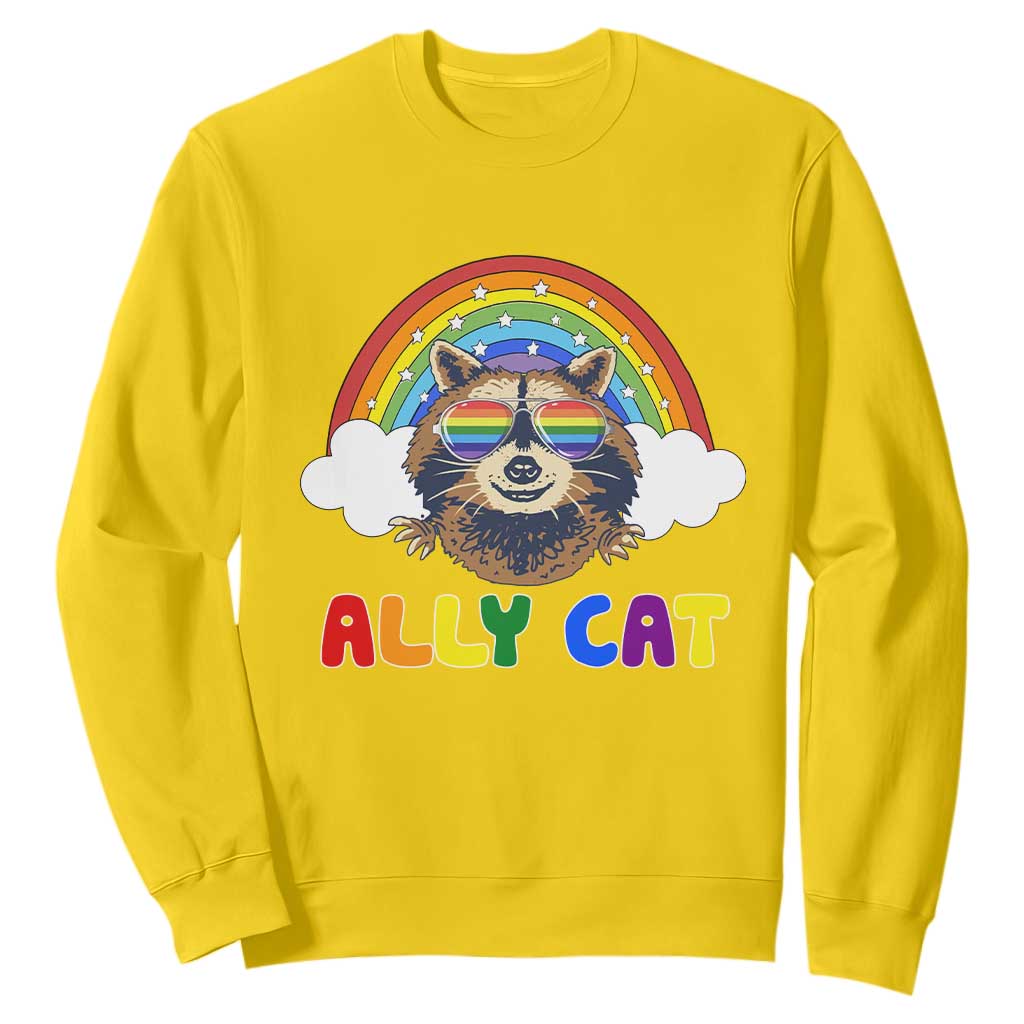 Ally Street Cat Rainbow Raccoon Sweatshirt Funny LGBTQ+ Pride Support