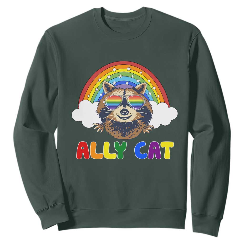 Ally Street Cat Rainbow Raccoon Sweatshirt Funny LGBTQ+ Pride Support