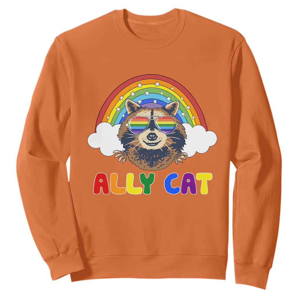 Ally Street Cat Rainbow Raccoon Sweatshirt Funny LGBTQ+ Pride Support