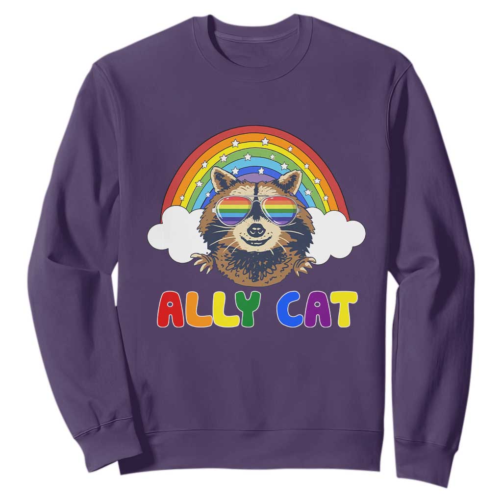 Ally Street Cat Rainbow Raccoon Sweatshirt Funny LGBTQ+ Pride Support