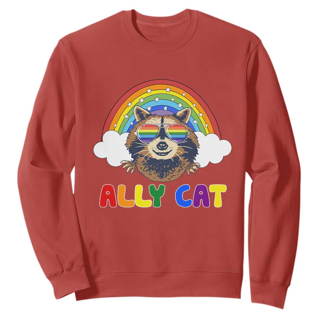 Ally Street Cat Rainbow Raccoon Sweatshirt Funny LGBTQ+ Pride Support