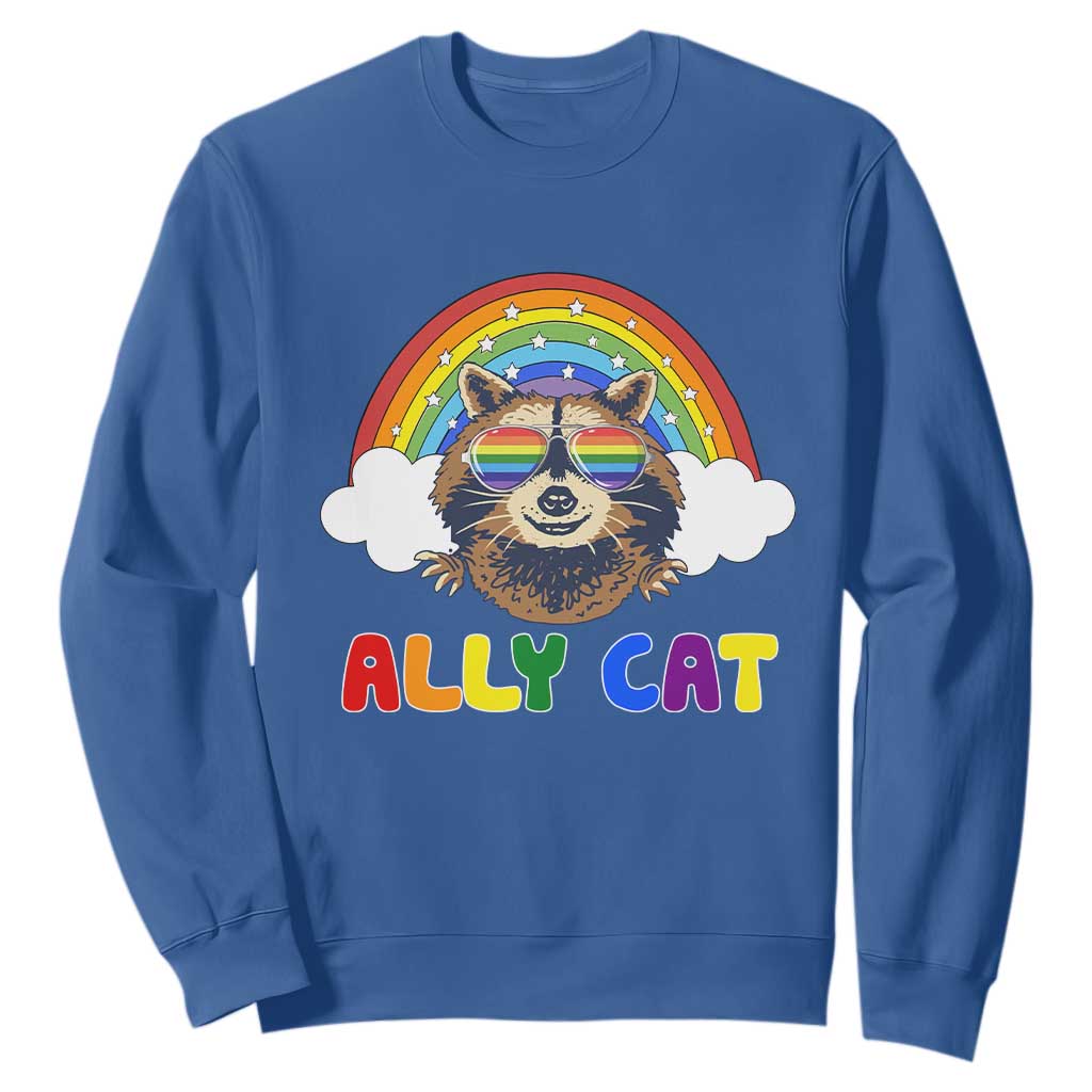 Ally Street Cat Rainbow Raccoon Sweatshirt Funny LGBTQ+ Pride Support