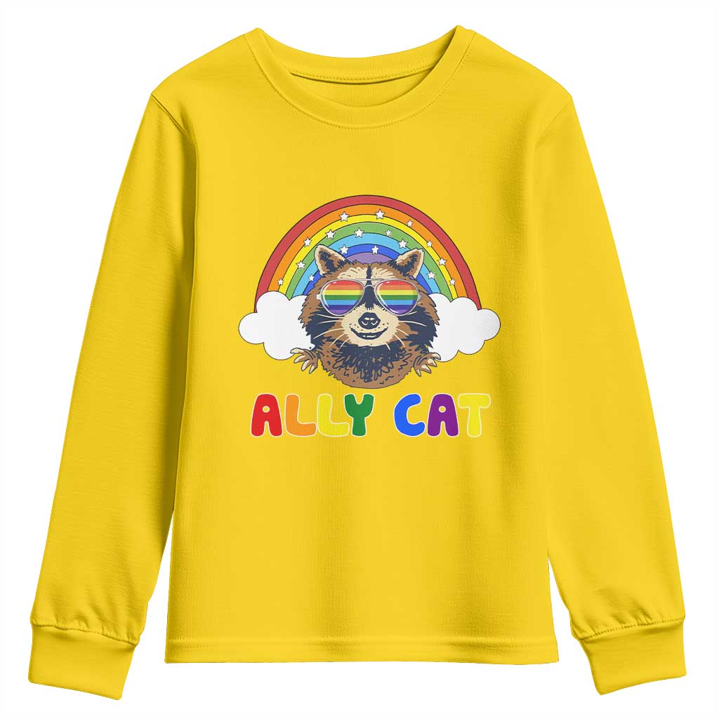 Ally Street Cat Rainbow Raccoon Youth Sweatshirt Funny LGBTQ+ Pride Support