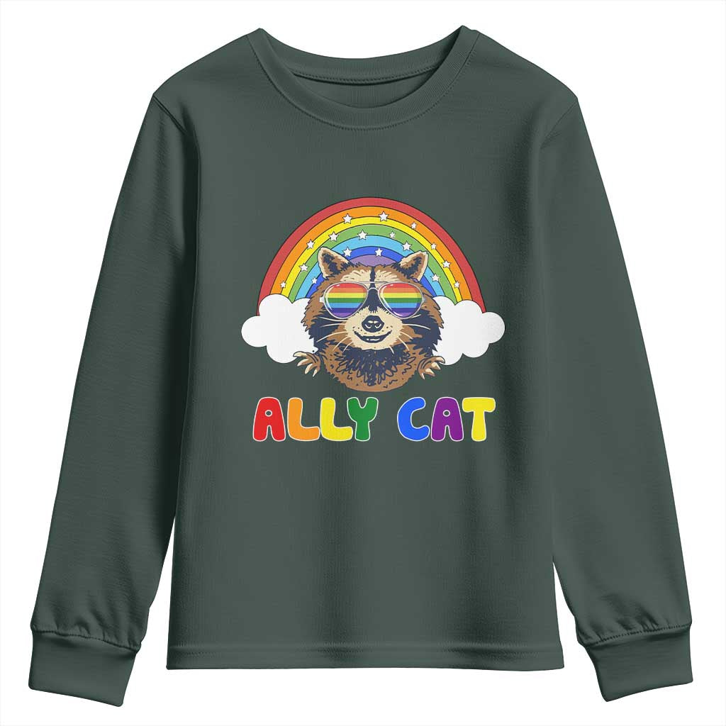 Ally Street Cat Rainbow Raccoon Youth Sweatshirt Funny LGBTQ+ Pride Support