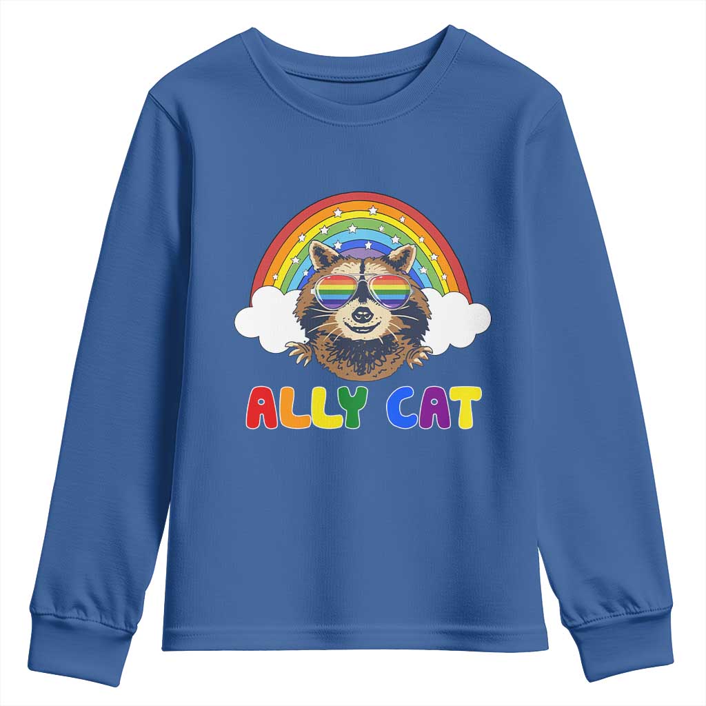 Ally Street Cat Rainbow Raccoon Youth Sweatshirt Funny LGBTQ+ Pride Support