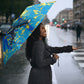 Saint Lucia Cricket Umbrella Kings Lion Unstoppable Mascot Art