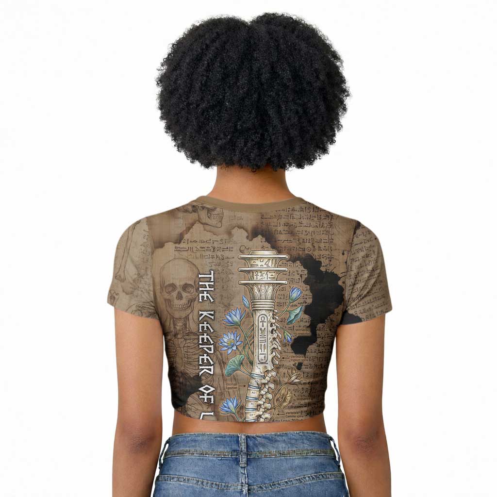 Imhotep Eye of Horus Raglan Cropped T shirt Papyrus Scrolls Ancient Egyptian Medicine