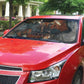 Menhit Egyptian Auto Sun Shade Warrior Goddess Fiery Lion Eye Arrows and Blood Battle