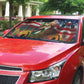 Frederick Douglass Auto Sun Shade American Flag Background Powerful Quote Build Strong Children Civil Rights Tribute - African Pride