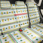Senegal Christmas Back Car Seat Cover Golden Lion and Festive Stars Motif - African Pride