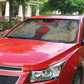 Louder Than Silence African Auto Sun Shade Civil Rights News Megaphone