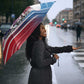 James Baldwin Umbrella Artistic Portrait Quote on Love and Awareness Civil Rights Tribute - African Pride