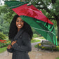 Personalized Algeria Football Champions Umbrella Fennec Fox Mascot - Algiers Martyrs Memorial