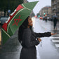 Personalized Morocco Football Atlas Lion Umbrella Moroccan Star National Flag