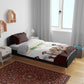 South Africa Wildlife Pride Bedding Set Big Five Animals