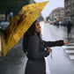 Mansa Musa Umbrella Golden Legacy Theme Ancient Map Regal Portrait of Mali Emperor Timbuktu - African Pride