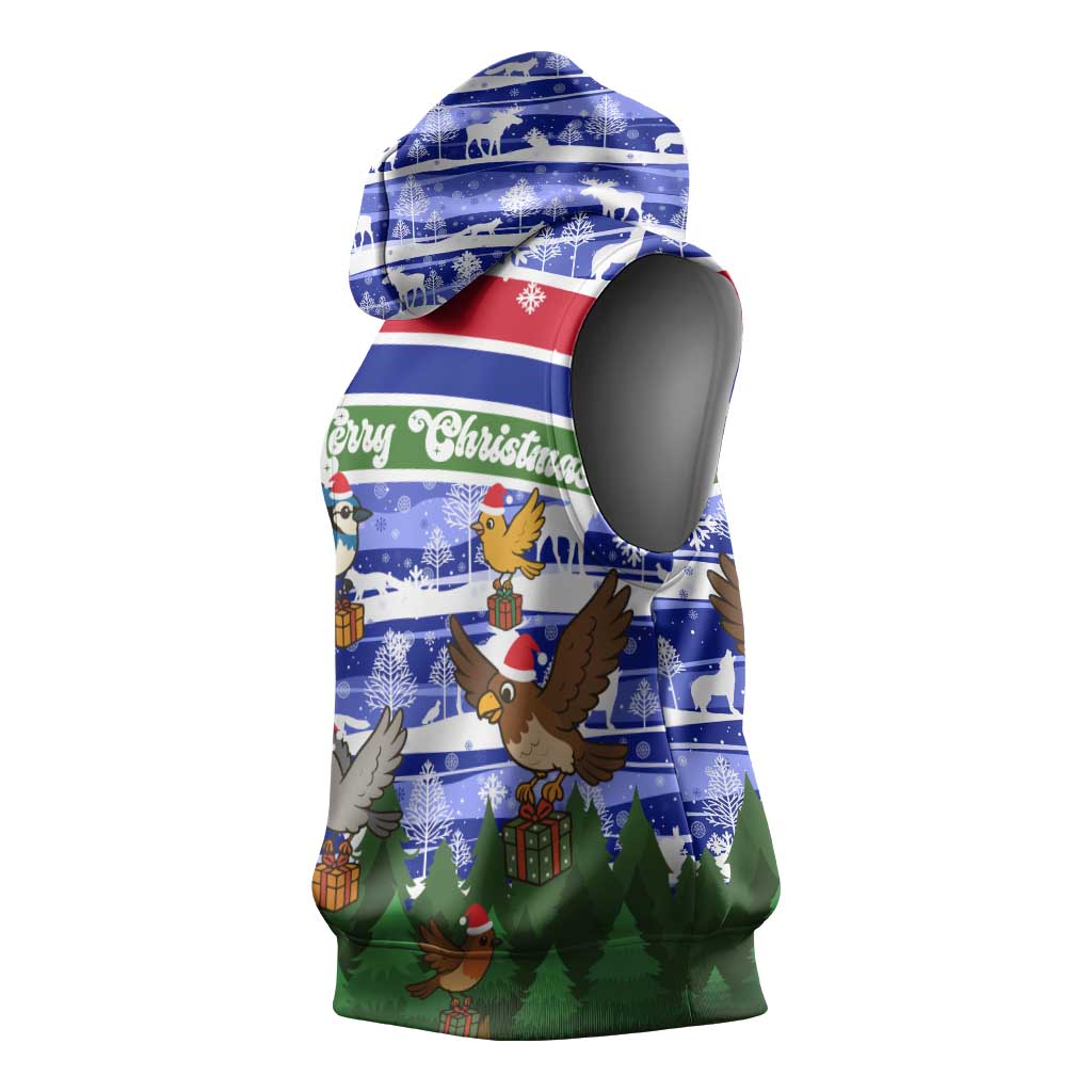 Gambia Christmas Sleeveless Hoodie Santa Birds Gift Boxes Forest Scene and Snowflake - African Pride