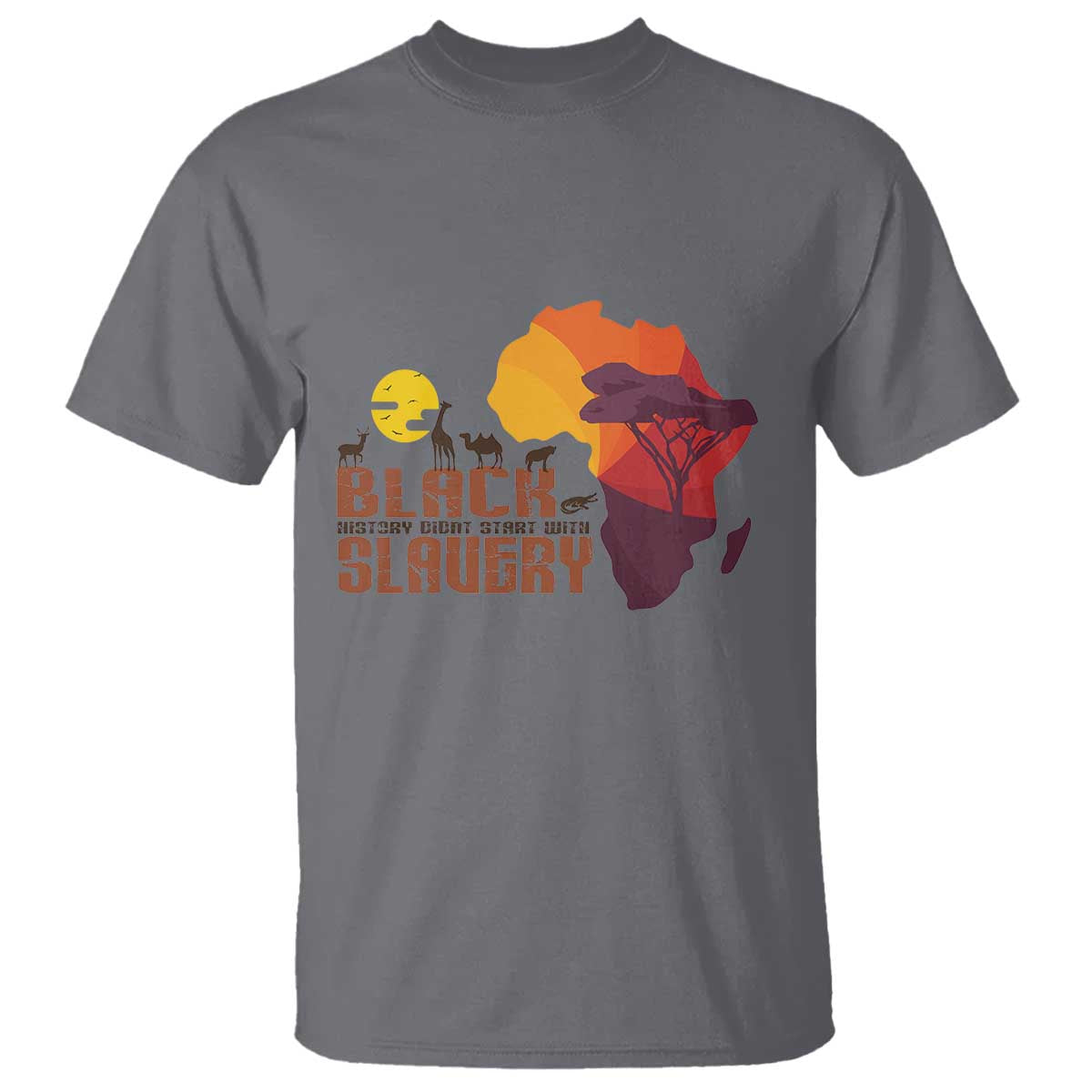 Black Pride T Shirt Black History Didn't Start With Slavery African American