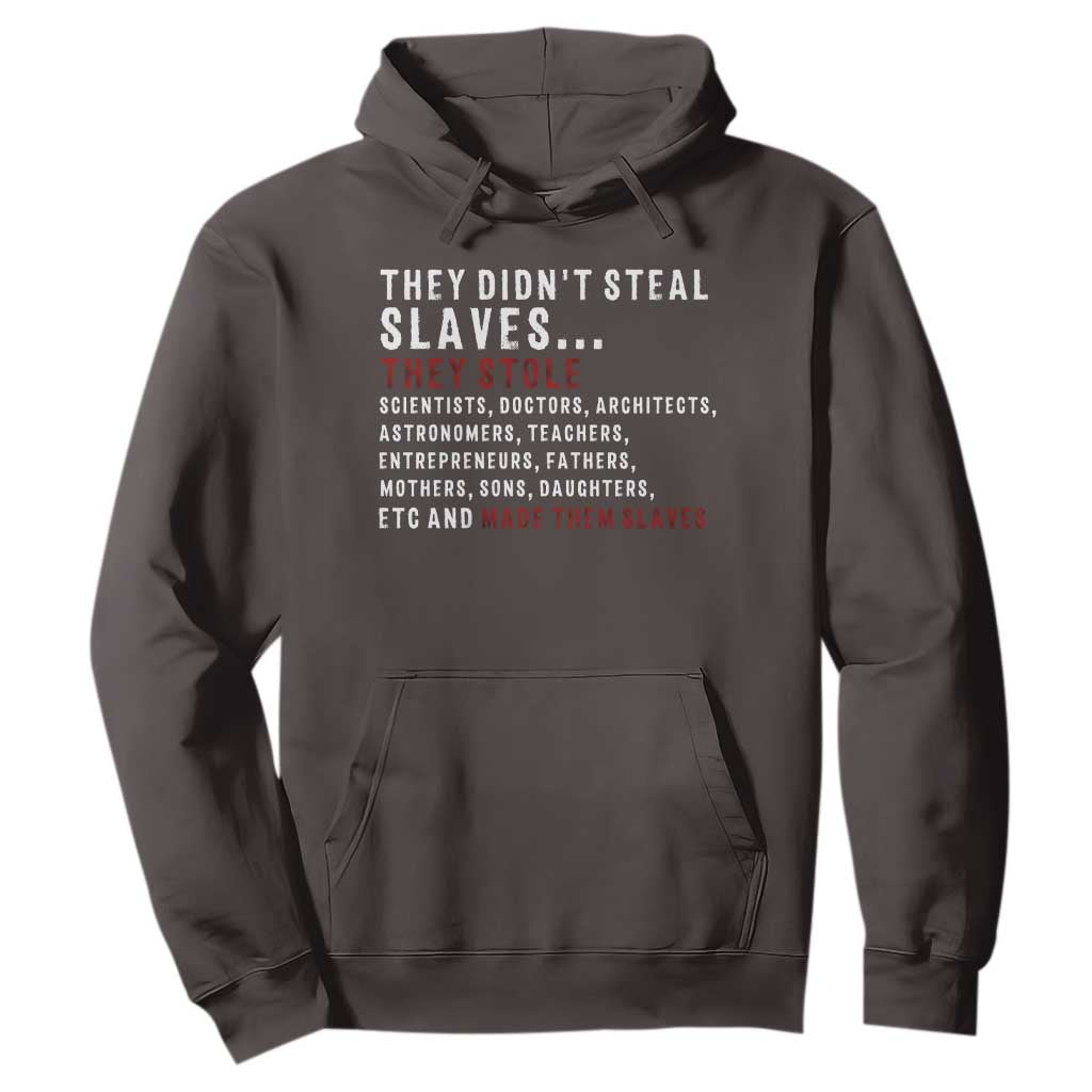 Black History Hoodie They Didn't Steal Slaves They Stolen And Made Them Slaves TS09