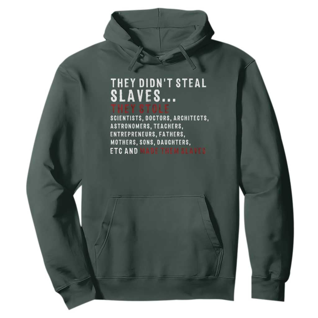 Black History Hoodie They Didn't Steal Slaves They Stolen And Made Them Slaves TS09