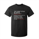 Black History T Shirt For Kid They Didn't Steal Slaves They Stolen And Made Them Slaves TS09