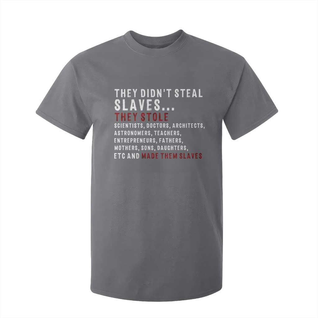 Black History T Shirt For Kid They Didn't Steal Slaves They Stolen And Made Them Slaves TS09