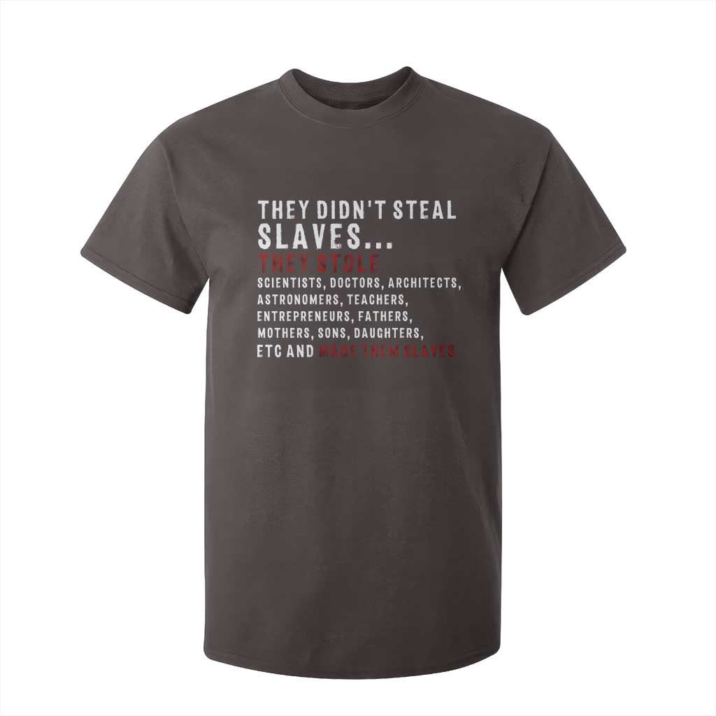 Black History T Shirt For Kid They Didn't Steal Slaves They Stolen And Made Them Slaves TS09
