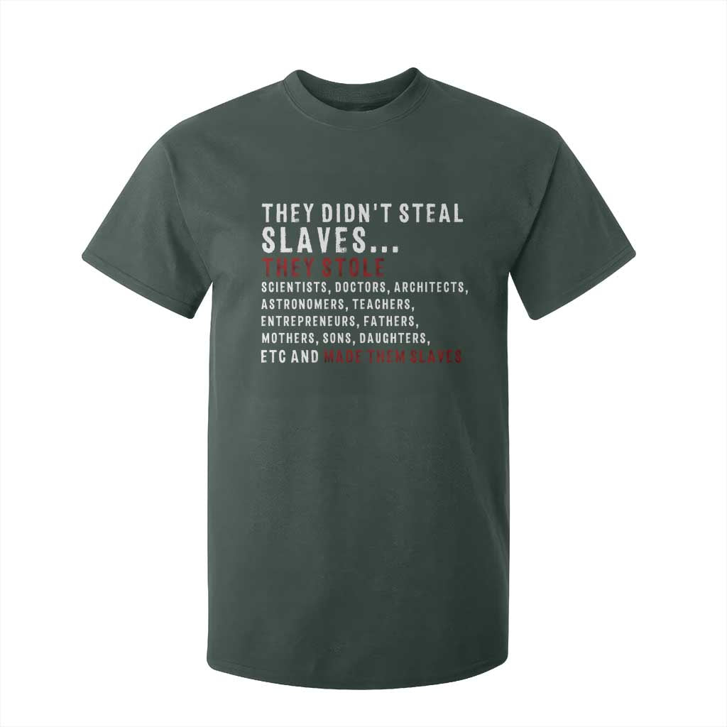Black History T Shirt For Kid They Didn't Steal Slaves They Stolen And Made Them Slaves TS09