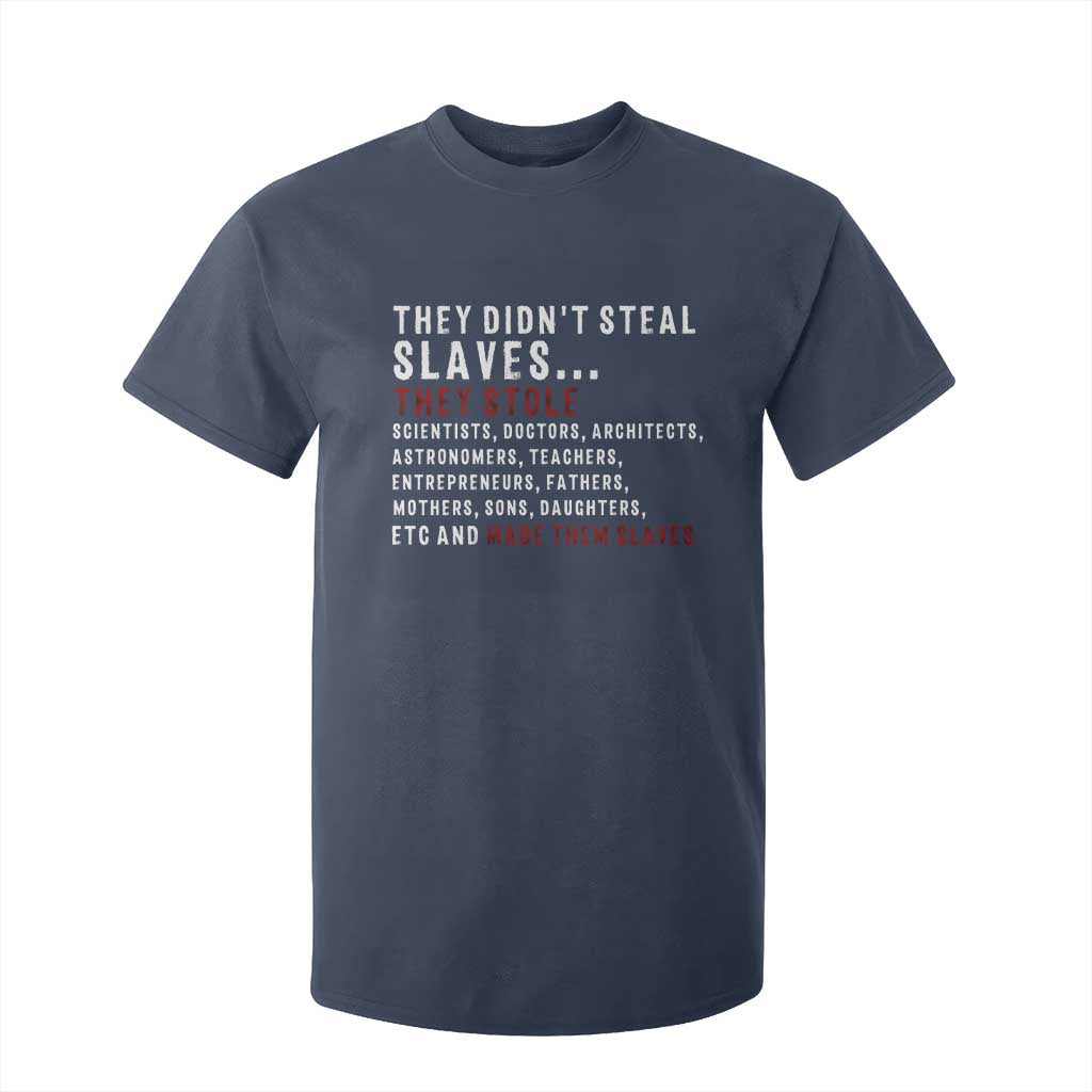 Black History T Shirt For Kid They Didn't Steal Slaves They Stolen And Made Them Slaves TS09