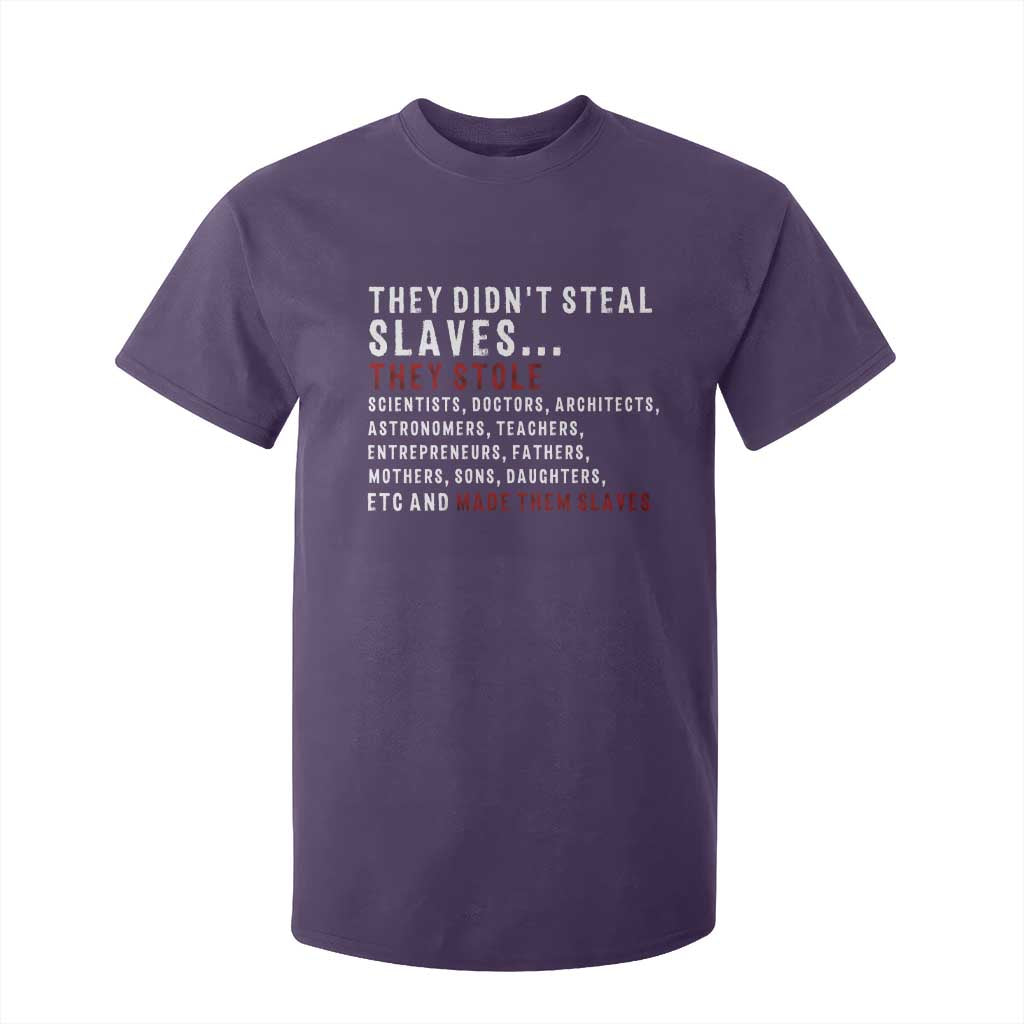Black History T Shirt For Kid They Didn't Steal Slaves They Stolen And Made Them Slaves TS09