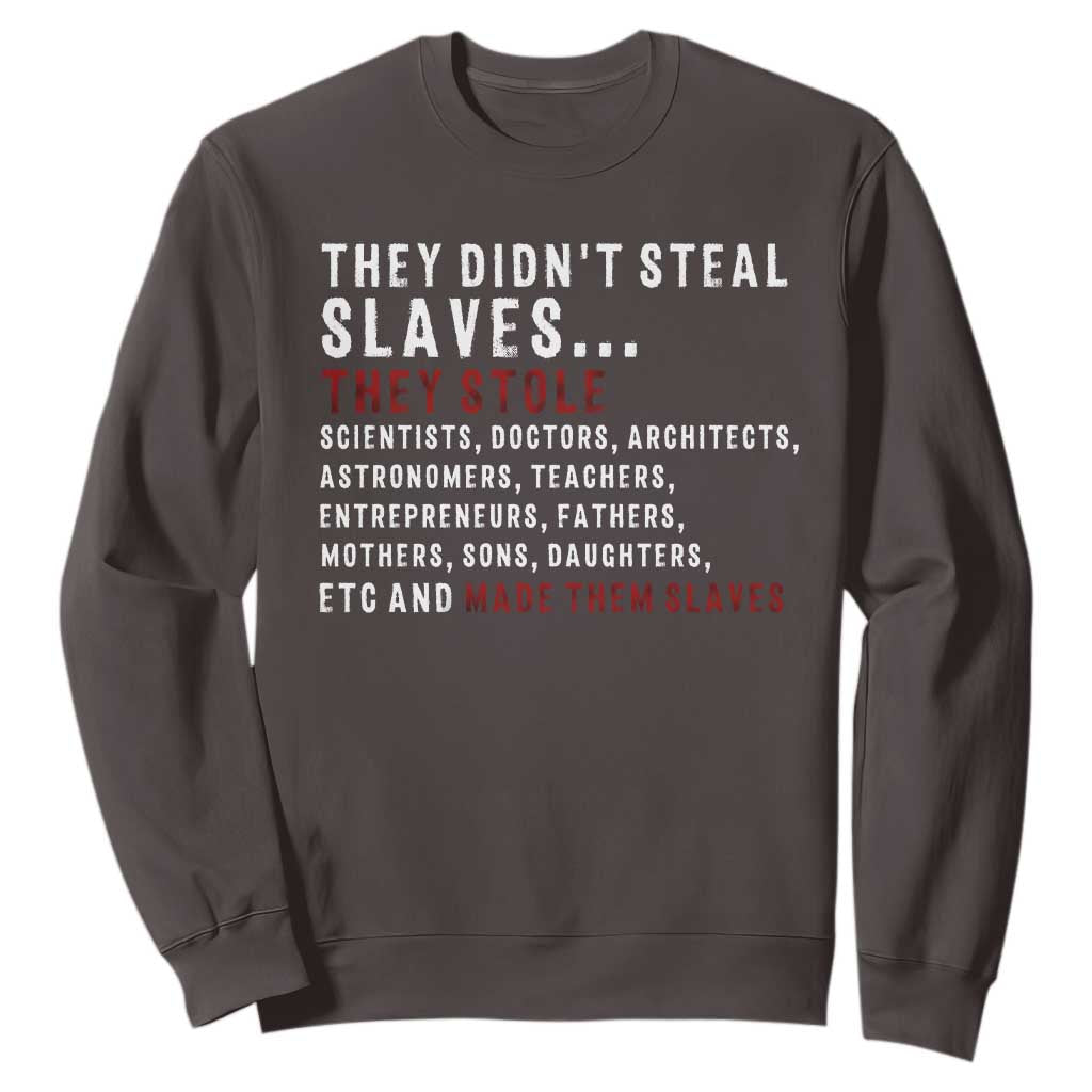Black History Sweatshirt They Didn't Steal Slaves They Stolen And Made Them Slaves TS09